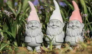 garden gnomes up close